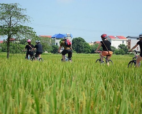 The Ultimate Guide to Cycling Tours in Hanoi: Discovering the Heart of Vietnam on Two Wheels